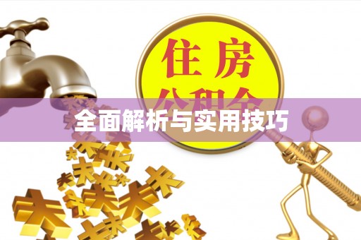 长城全面解析与实用技巧