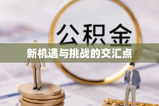 长城新机遇与挑战的交汇点