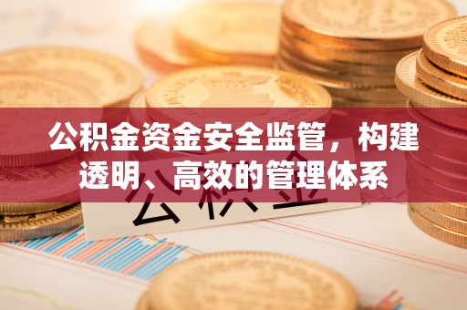 长城公积金资金安全监管，构建透明、高效的管理体系