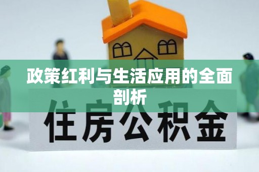 长城政策红利与生活应用的全面剖析