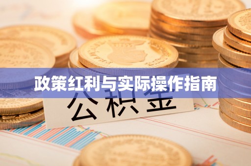 长城政策红利与实际操作指南