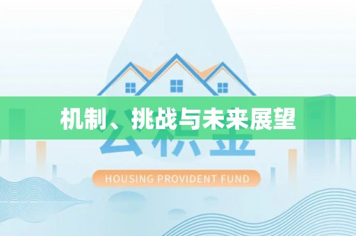 长城机制、挑战与未来展望